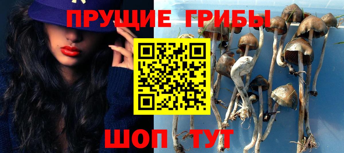 Тула  Галлюциногенные грибы Psilocybine cubensis  Вход с VPN 