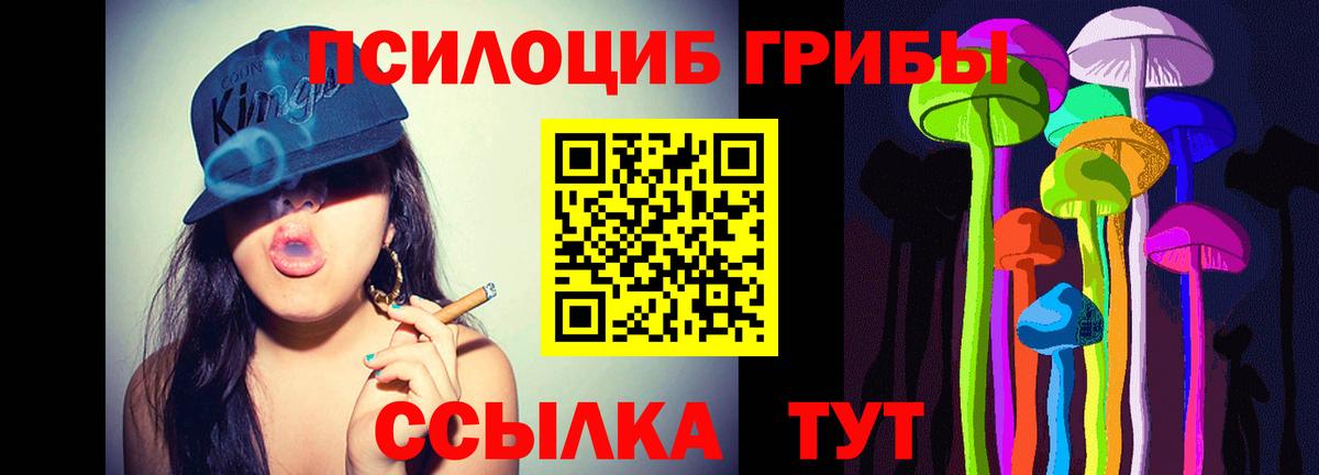 Галлюциногенные грибы Magic Shrooms Тула